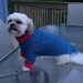 Dog coat medium front legs with sleeves AHT and other small dogs Woofy Wear by Wendy(TM)