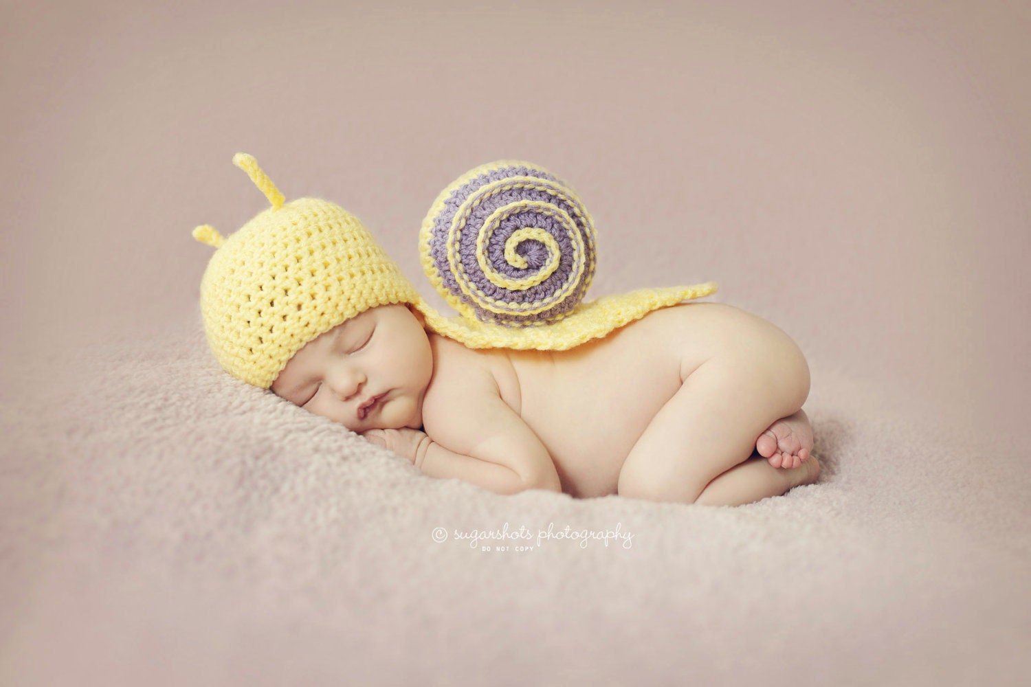 Sweet Snail Photography Prop