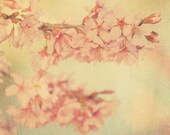 babys room, nature photography, cherry blossom tree photograph, Candy Floss, pastel pink blue yellow green spring garden botanical romantic