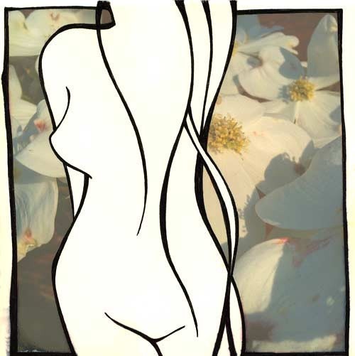 Framed print of original drawing combined with photograph - Dogwoods