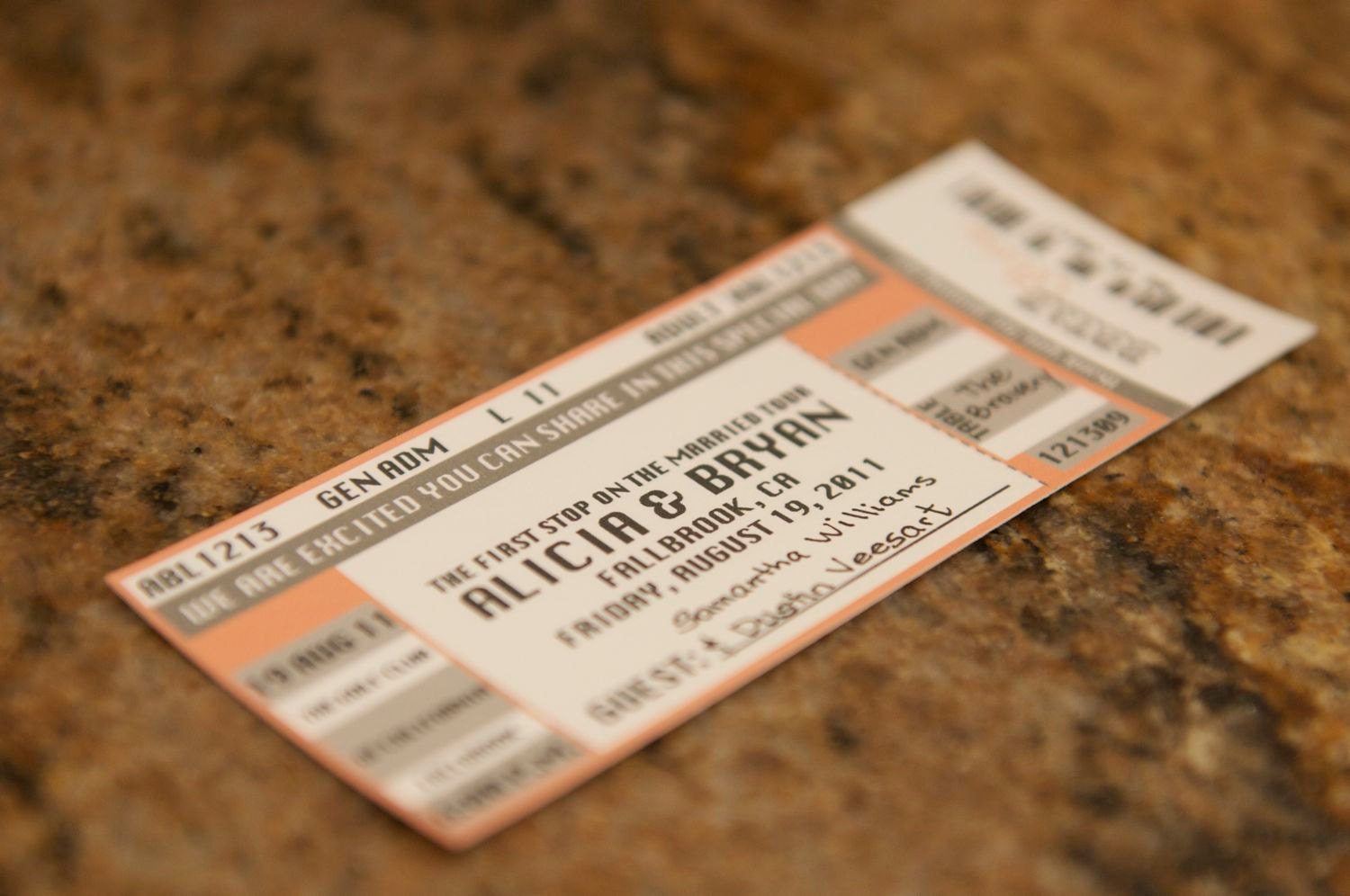 Concert Ticket Escort Card - Place Card - Sample