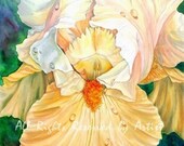 AMBROZIA - Artisan Natural Perfume Oil