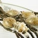Necklace ethnic african multistrand coconut shells silver tribal statement bold organic natural