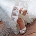 Try On Service Wedding Shoes