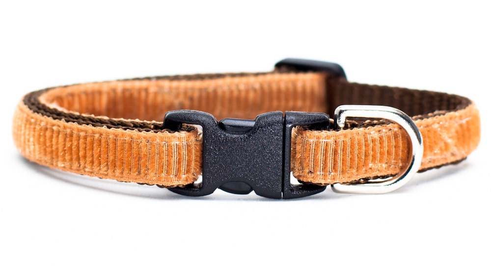 Cat Collar - The Professor