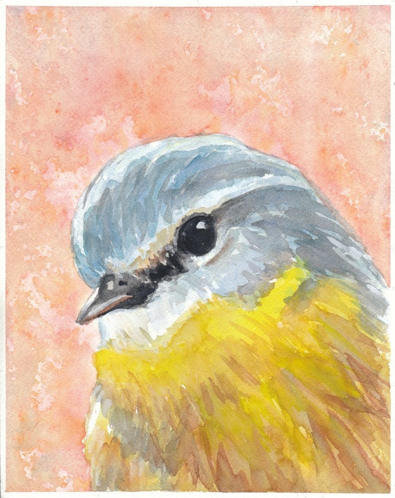 Bird Watercolor - Original Art, Robin, Animal Painting