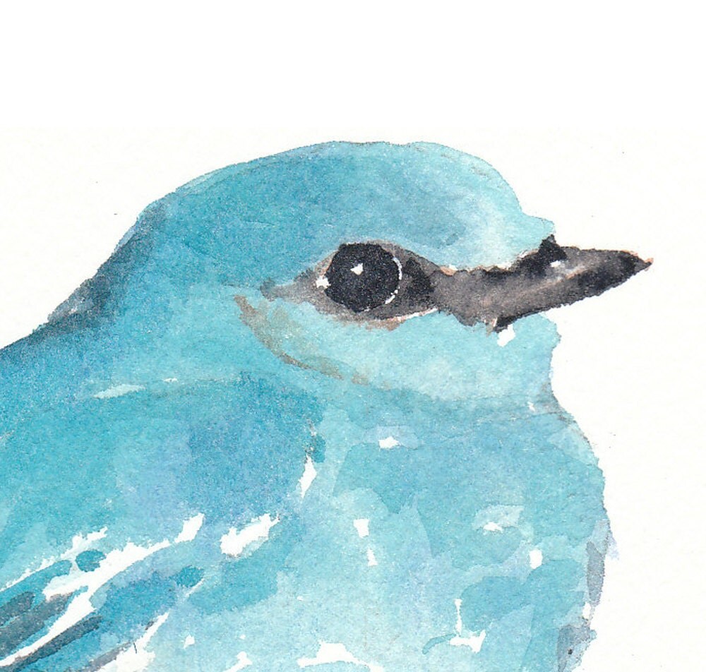 Bird Watercolor Original Painting Mountain Bluebird Nature