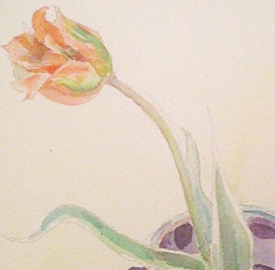 Esperanto a tulip (first picture is a detail, the second is the whole image)