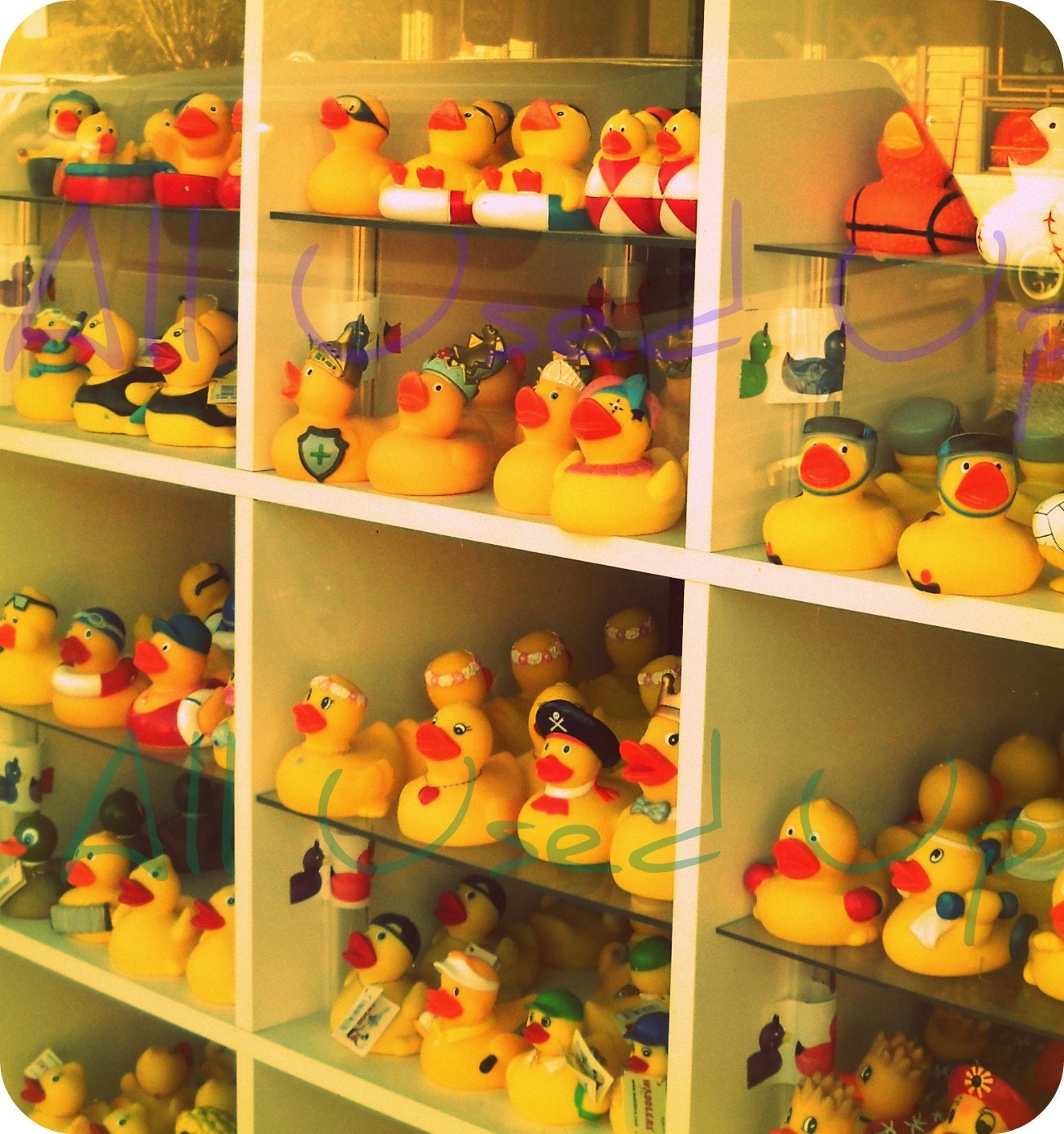 ducky nursery