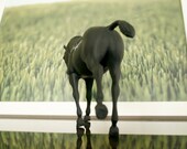 The Original Chalkboard Horse - Rothenberg