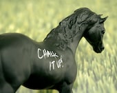 The Original Chalkboard Horse - Roderigo