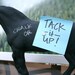 The New Work Horse - Mr. Garamond