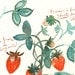 Les fraises - Original watercolor painting