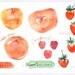 Summer fruits Peach and strawberry - Original watercolor painting - Seasonal fruits kitchen collection - Food art