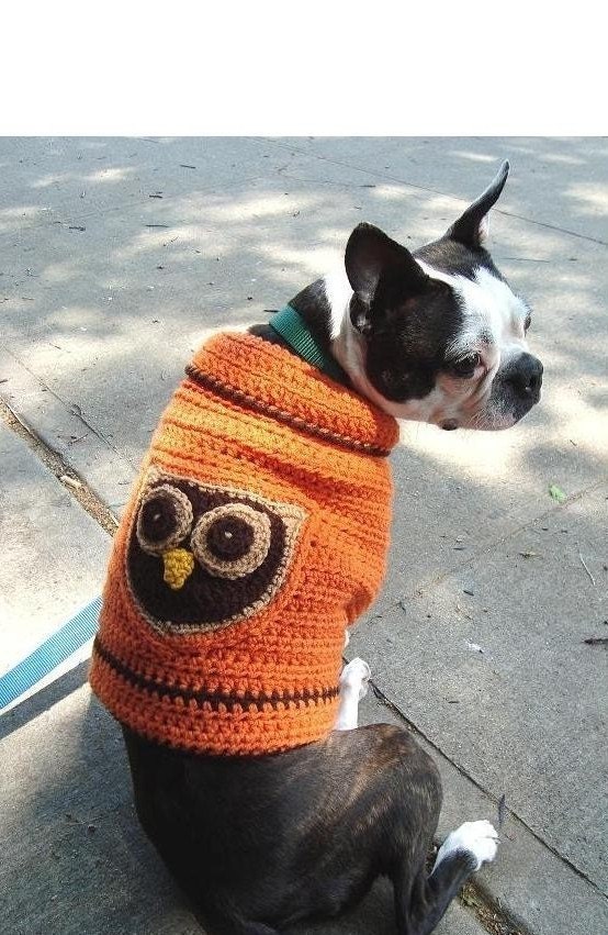 Owl Dog Sweater