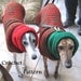 Instant Download - PDF Crochet Pattern for Greyhound Sweater and Snood