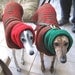 Instant Download - PDF Crochet Pattern for Greyhound Sweater and Snood