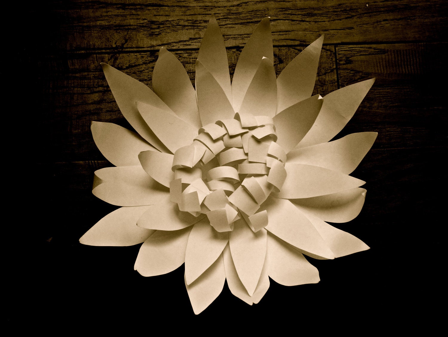 paper flower group