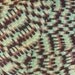 Bed Blanket - Amazon - Brown and Green