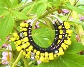 Silver Hoop Fashion Earrings Bright Yellow Beads