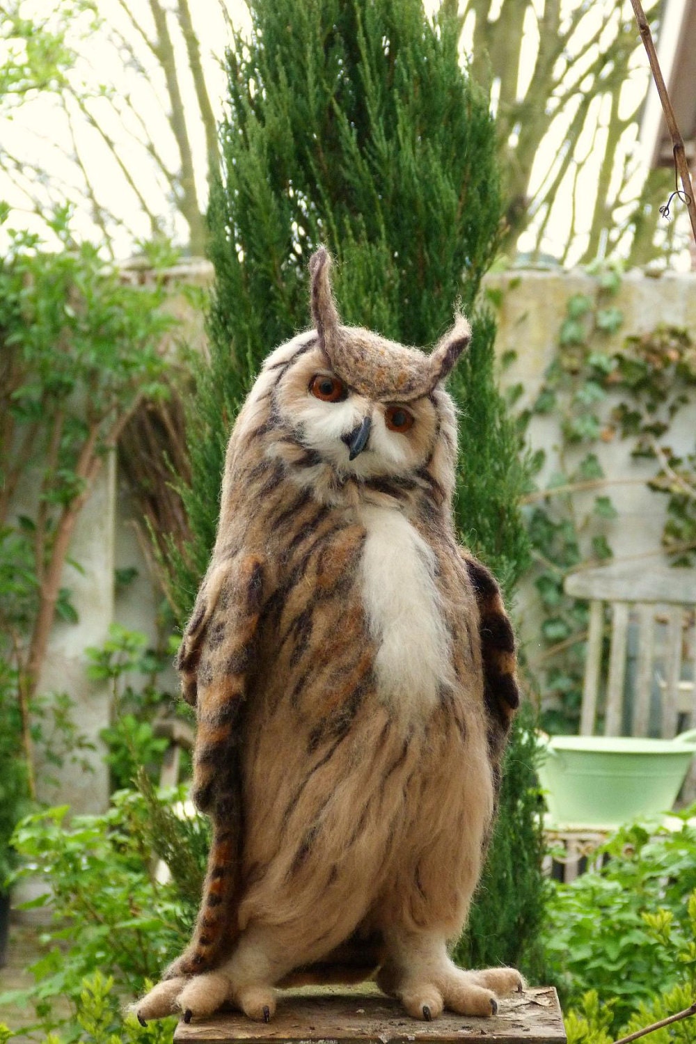 Eurasian Eagle-Owl (Bubo bubo)