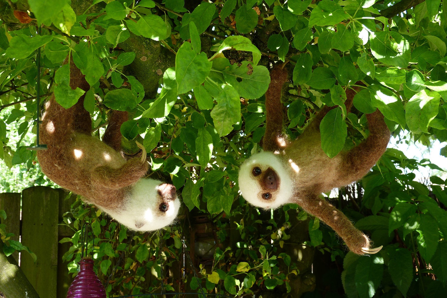 Needle felted Life size two-toed Sloth baby girl ( reserved for Theresa)