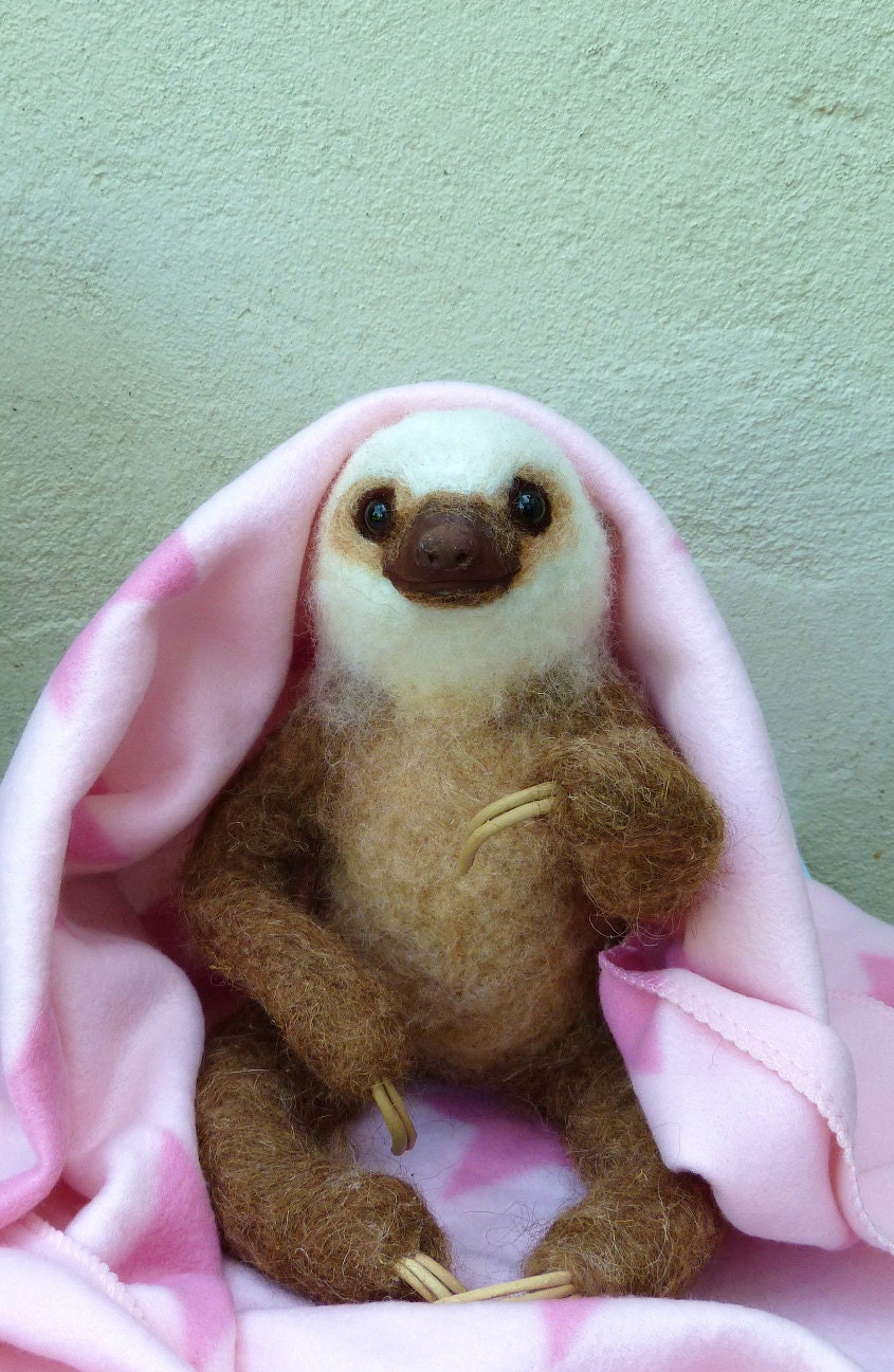 Needle felted Life size two-toed Sloth baby girl ( reserved for Theresa)