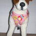 Comfort Soft Harness for Small Dog.