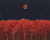 Lunar Eclipse