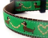 Dachshund Lovers Dog Collar / Green Wiener Dog