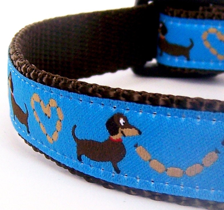 Dachshund Lovers Dog Collar / Blue Wiener Dog