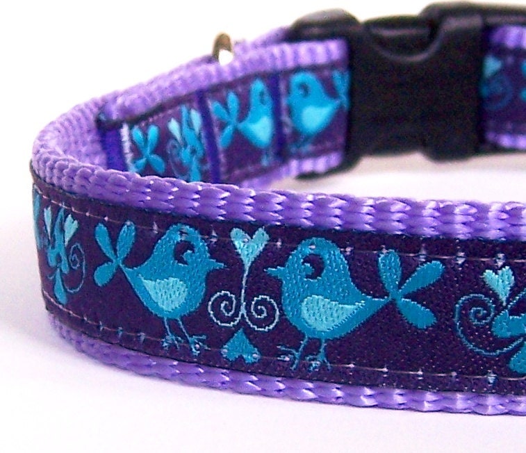 Mirrored Birds dog collar