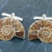 Ammonite Cufflinks ideal gift for wedding, birthday or anniversary