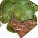 Dave Matthews Band Quote Jewelry
