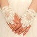 Prom Lace, Fingerless Bridal Gloves, elegant, delicate and embroidered  for Wedding or Special Occasion.  Chose your own color.
