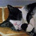 Sleep, Tuxedo Cat, Original art, Aceo by Yag