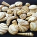 Seashells 20 Piece Edible Gum Paste Cake Decorations