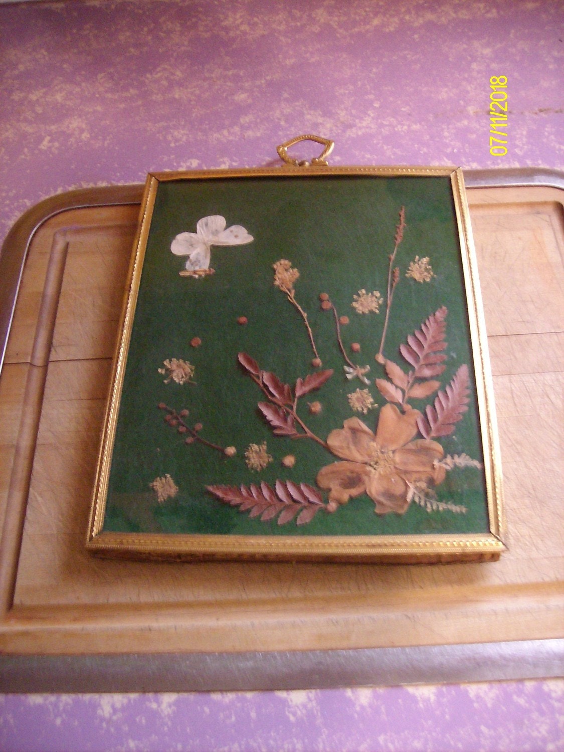 VinTage PreSSed Dried FloWers and BuTTerfLy PicTure--FREE SHIPPING in the US