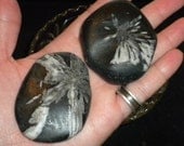 Large Chysanthemum Stone