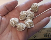 Five Desert Rose Selenite