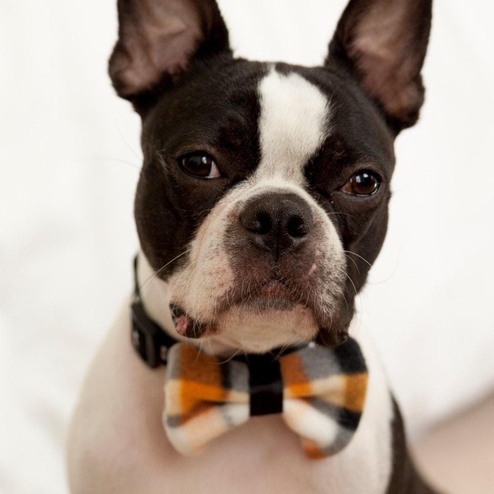Orange Black and White Plaid Bow Tie - Free Shipping World Wide