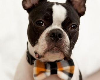 Orange Black and White Plaid Bow Tie - Free Shipping World Wide