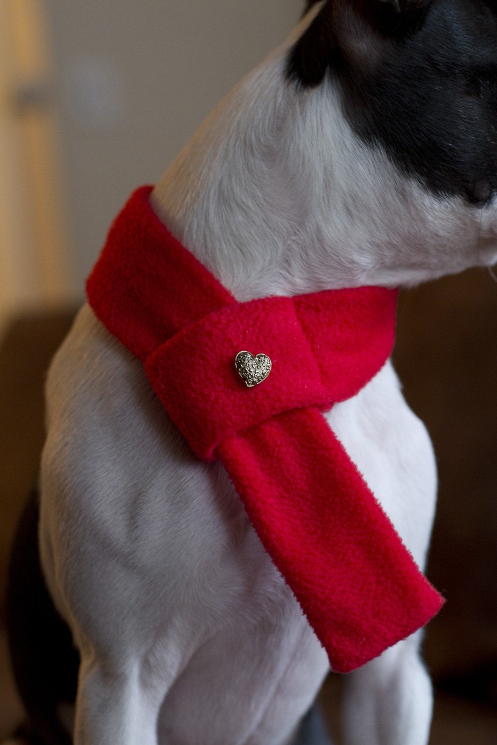 Red Fleece Scarf w/ Heart Button (Medium) - Free Shipping Worldwide