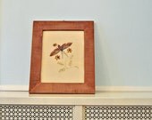 Vintage Framed Butterfly Painting