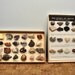 Vintage Rock and Mineral Collections
