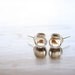 Yellow Goldfish in a bowl pet  earrings