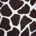 Giraffe Minky Baby Blanket-Monogramming now available