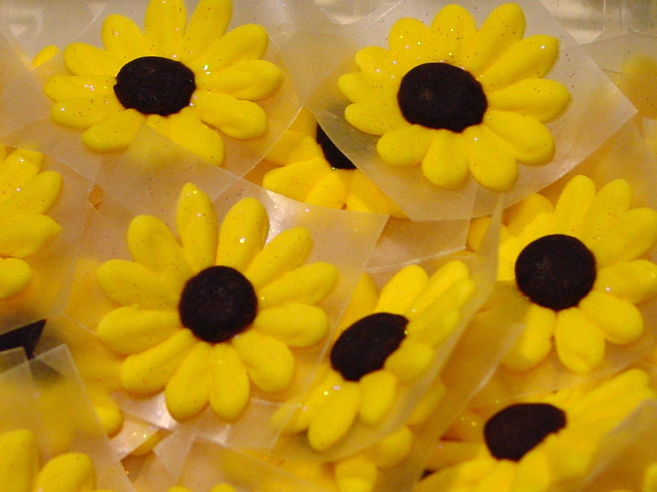 24 Royal Icing Sparkling Wild Sunflowers by cupcakesbychristy