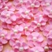 Reserved for Kim- Royal Icing Flowers- 400 Mixed colors and 2oz. Silver Dragees