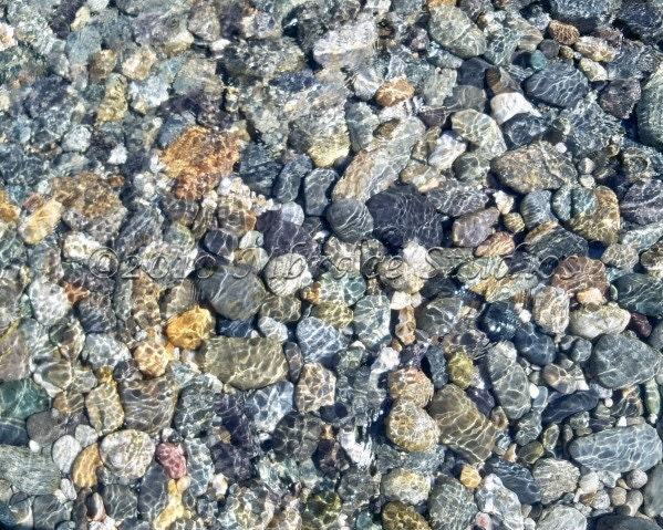 Under the Sea - Pebbles in the Tide -  Nature Picture